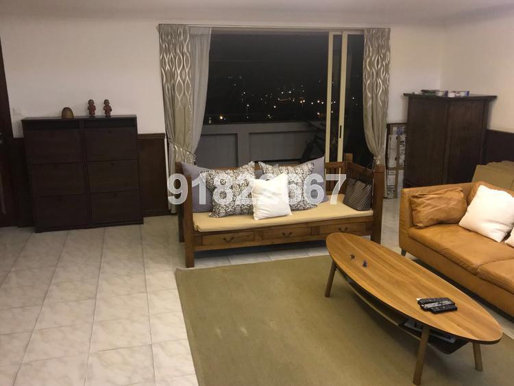 Equatorial Apartments (D15), Apartment #157036322
